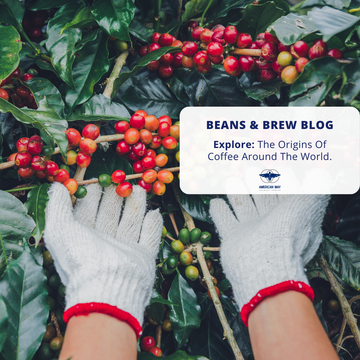 Explore the origins of coffee with American Way Coffee: A journey through bean varieties and growing regions.
