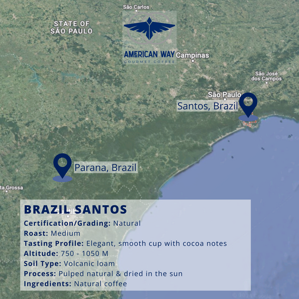 Medium Roast | Brazil Santos | Single Origin