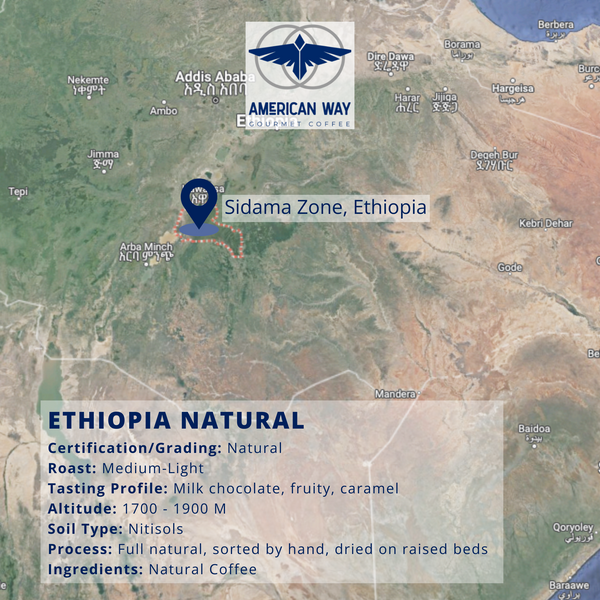 Medium-Light Roast | Ethiopia | Single Origin