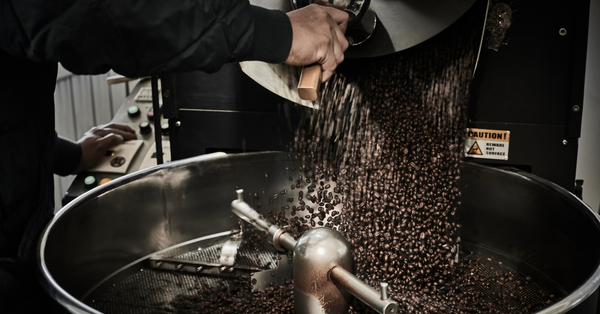 Explore The Richness of Our Medium-Dark Coffee Roasts
